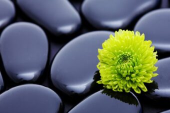 Osobowość terapeuty, czyli jakiego wybrać?