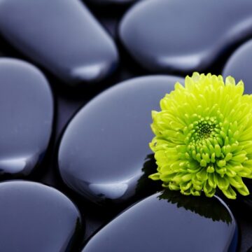 Osobowość terapeuty, czyli jakiego wybrać?